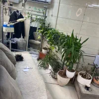 مغازه تجاری|اجارهٔ مغازه و غرفه|تهران, نارمک|دیوار