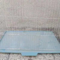 قفس پرنده و آینه و پمپ بنزین