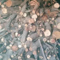 پخش عمده ذغال کبابی و فشرده خودسوز|عمده‌فروشی|پاکدشت, پاکدشت (مامازند)|دیوار