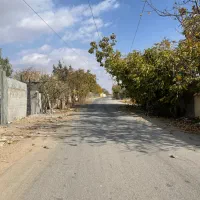 زمین ۳۹۰ متر باغ سندتکبرگ انشعابات دماوند جابان|فروش زمین و ملک کلنگی|دماوند, دماوند|دیوار