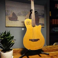 گیتار گودین کنسرت - guitar Godin