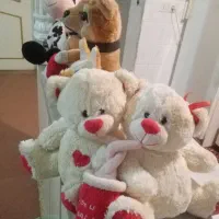 عروسک خرسی|اسباب‌‌بازی|شهرضا, |دیوار