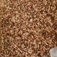 ترشی انار درجه۱