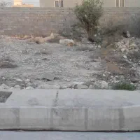 زمین خونه نیدشهر