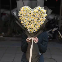 نرگس ( رایگان )|گل و گیاه طبیعی|مشهد, هفت تیر (حافظ)|دیوار