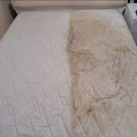 مبل شویی  موکت شویی وسفید شویی پارلاق