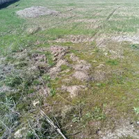 زمین کارگاهی در شهرک صنعتی|فروش دفتر صنعتی، کشاورزی، تجاری|ایوانکی, |دیوار