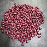 فروش انواع لوبیا قرمز - چیتی - چشم بلبلی - سفید