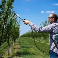 سمپاشی خانه وباغ+سموم ترکیبی زیرنظرمتخصص|خدمات باغبانی و درختکاری|چالوس, |دیوار