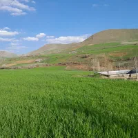 رنگه رژان|فروش دفتر صنعتی، کشاورزی، تجاری|سرشیو, |دیوار