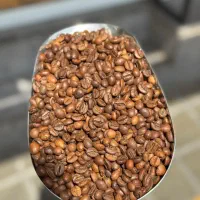 پخش انواع دان قهوه و میکس و پودریجات|عمده‌فروشی|تهران, مجیدآباد|دیوار