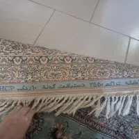 قالی|فرش|مشهد, شهرک امام هادی (شهرک غرب)|دیوار