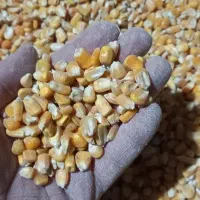 ذرت.سویا.جو.سبوس