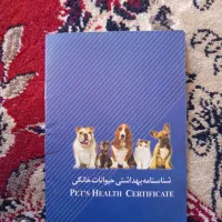 پامر|سگ|یاسوج, |دیوار