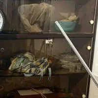 کتابخانه|کتابخانه، شلف، قفسه‌های دیواری|شیراز, شهرک صنعتی شیراز|دیوار