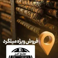 منشی و حسابدار خانم