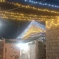 ریسه آرایی میناب|خدمات پذیرایی، مراسم|میناب, |دیوار