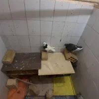 معامله کفتر