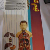 مولاژ آناتومی بدن