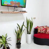رزرو سوئیت برای مسافرین مرکز شهر|اجارهٔ کوتاه‌مدت آپارتمان و سوئیت|دزفول, |دیوار