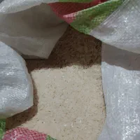 برنج کشت دوم دابودشت کیلویی ۳۰۰|خوردنی و آشامیدنی|دابودشت, |دیوار