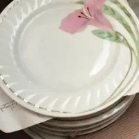 خیار خوری یا کیک خوری.