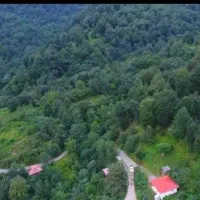 اجاره ویلا جنگلی بسیار دنج