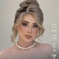 مدل شنیون۲۰۰