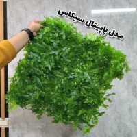 گرینوال مصنوعی ۵۰×۵۰|گل مصنوعی|یزد, |دیوار