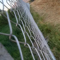 فنس کشی با اکیپ