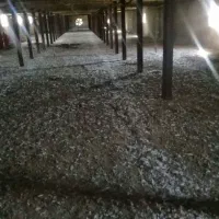 خرید کود مرغی