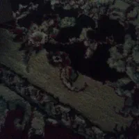 قوطی رب گوجه