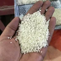 برنج دم سیاه درجه یک