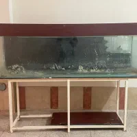 اکواریوم دو متری همراه سامپ و میز