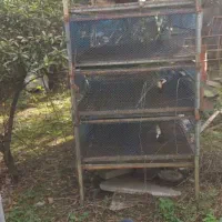 قفس پرورش مکانیزه بلدرچین و....