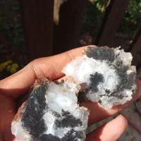 انواع سنگ شجرمشکی خراسان|کلکسیون اشیاء عتیقه|شهرکرد, |دیوار