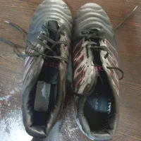 کفش استوک سایز 41.42|کیف، کفش، کمربند|تهران, قصر فیروزه ۲|دیوار