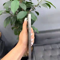 iPhone 16 Promax|موبایل|تهران, جردن|دیوار