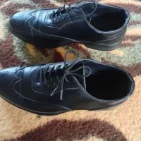 کفش ملی|کیف، کفش، کمربند|مرودشت, مختارآباد|دیوار