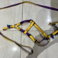 قلاده سگ