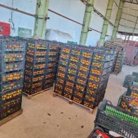 استخدام نیرو