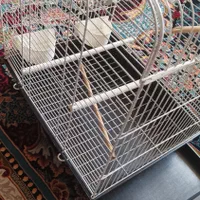 قفس پرنده سالم|لوازم جانبی حیوانات|قم, اسمعیل آباد|دیوار