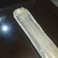 پشه بند نو