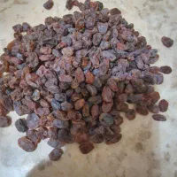 کشمش|خوردنی و آشامیدنی|تاکستان, |دیوار