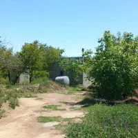 باغچه بادرختان الوان|فروش زمین و ملک کلنگی|انزل, |دیوار