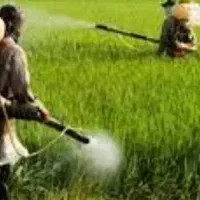 خدمات کشاورزی و باغداری|خدمات باغبانی و درختکاری|سامان, |دیوار