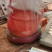 آگروپال وسایل آشپزخانه