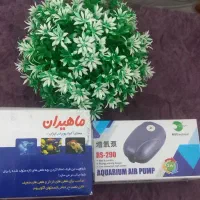 اکواریوم|ماهی|تربتحیدریه, فرمانداری|دیوار