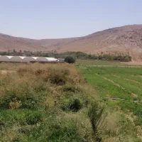 فروش ۱۰۰۰ متری در شهرک گلستان|فروش دفتر صنعتی، کشاورزی، تجاری|شیراز, شهرک گلستان|دیوار