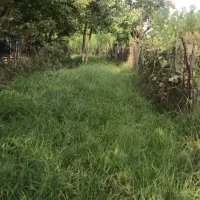 فروش زمین ۵۰۱ متری در باهنر ، شاه عباسی ، گلسرک|فروش زمین و ملک کلنگی|رشت, باهنر|دیوار